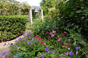 Duinen van Haamstede tuin